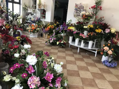 Gladiola - Kwiaciarnia Suwałki